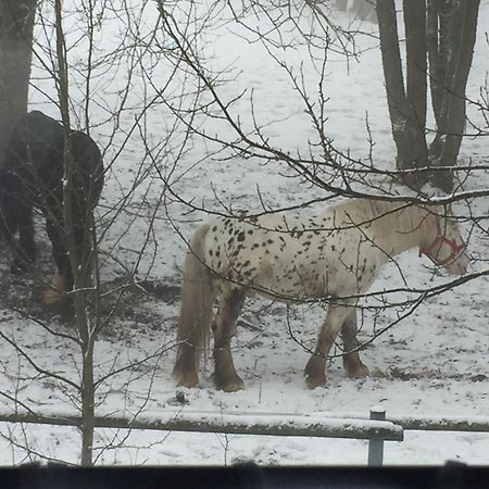Penzion Na Slunicku Mariánská 外观 照片