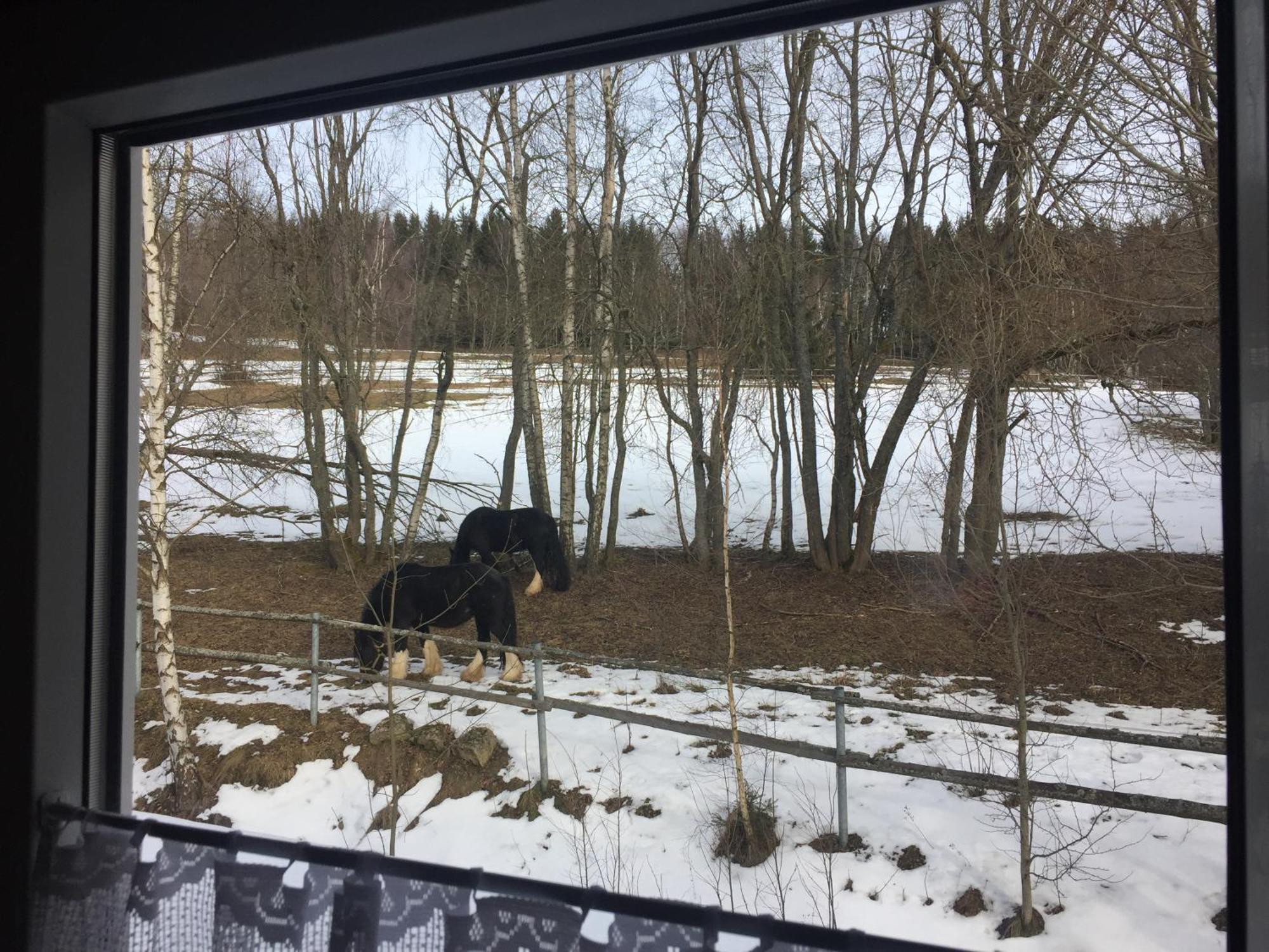 Penzion Na Slunicku Mariánská 外观 照片