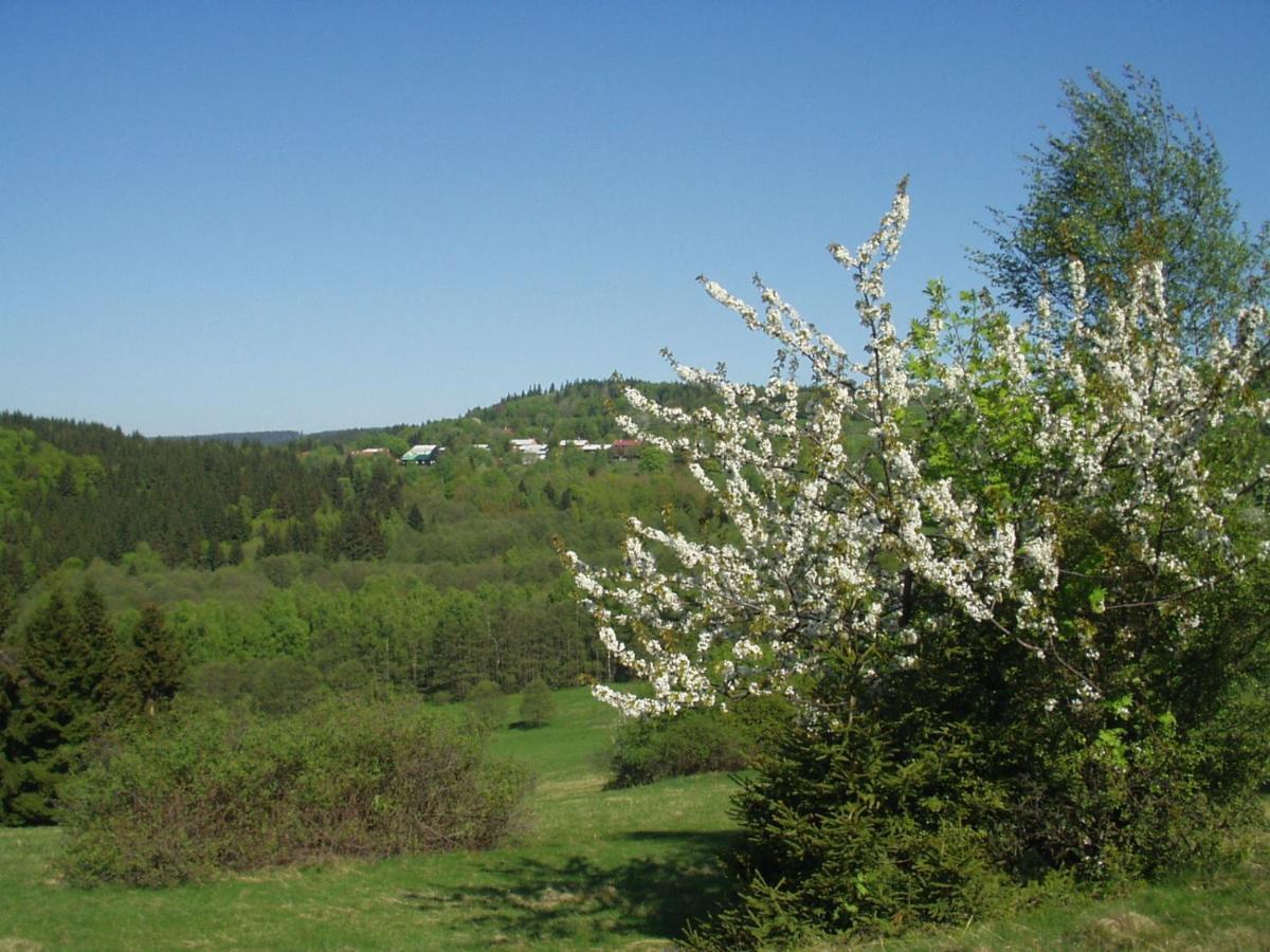 Penzion Na Slunicku Mariánská 外观 照片